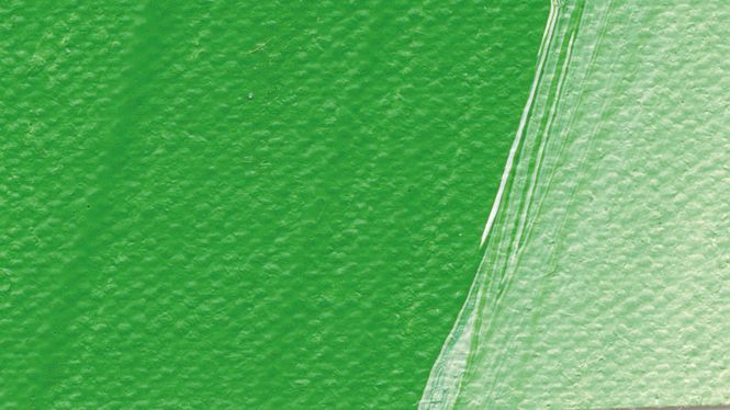 Hovedbilde Schmincke Akademie 250ml. permanent green