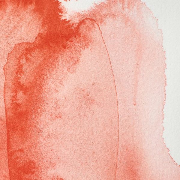 CADMIUM SCARLET HALV PAN W&N pwc