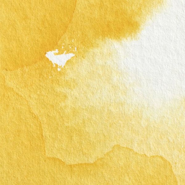 CADMIUM YELLOW HALV PAN W&N pwc