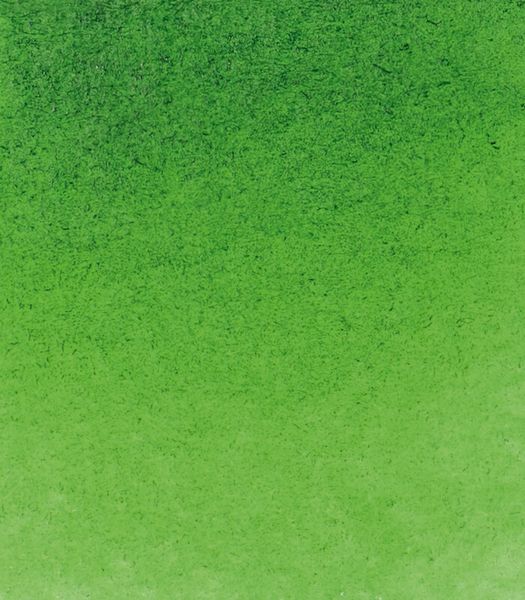 Schmincke Horadam 5ml sap green