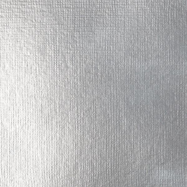 SILVER 118ML LQX BASICS FLUID