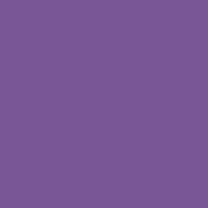 Hovedbilde LIQUITEX MARKER PURPLE