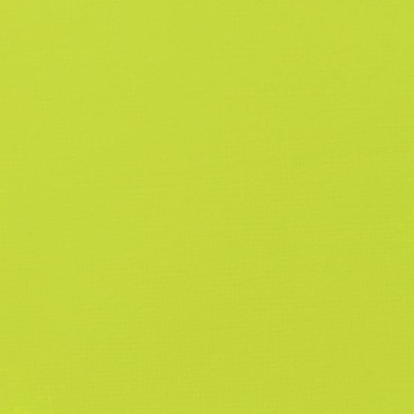VIVID LIME GREEN 59ML LQX PRO ACRYLIC GOUACHE